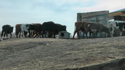 Доки люди там потребуватимуть його підтримки. Історія волонтера, яких допомагає у прифронтових селах на Запоріжжі Доки люди там потребуватимуть його підтримки. Історія волонтера, яких допомагає у прифронтових селах на Запоріжжі