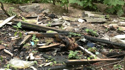 У Рівному невідомі спалили собаче поселення У Рівному невідомі спалили собаче поселення