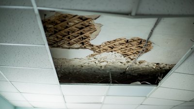В такому стані стеля в одному з кабінетів Апеляційного суду в Чернігові В такому стані стеля в одному з кабінетів Апеляційного суду в Чернігові