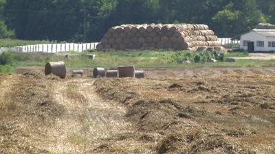 На Хмельниччині голоду не буде, в Україні — теж,— Олег Омелянюк