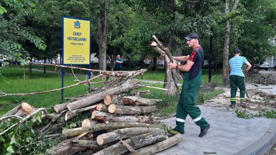 У Корабельному районі Миколаєва буревій повалив дерева. Одне з них заблокувало під’їзд У Корабельному районі Миколаєва буревій повалив дерева. Одне з них заблокувало під’їзд