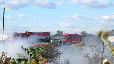 На Одещині горіло понад 4 гектари сухої трави
