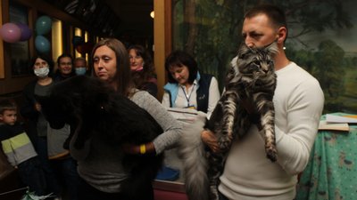 У Луцьку відбулася Національна виставка кішок. Кому дісталася перемога