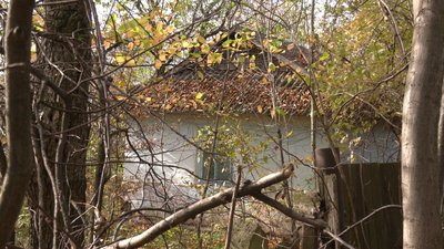 Покинутий дім у селі Соколівка Покинутий дім у селі Соколівка