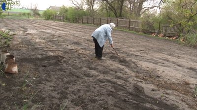Після зливи в Черкаській області люди залишились без урожаю Після зливи в Черкаській області люди залишились без урожаю