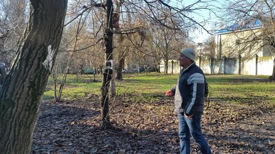 В Одесі збираються спиляти 60 дерев заради паркінгу районного суду — екологи В Одесі збираються спиляти 60 дерев заради паркінгу районного суду — екологи