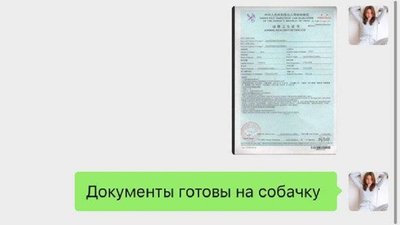 Херсонку відмовились евакуювати з Уханя, дівчина лишилась у заблокованому місті без харчів та грошей Херсонку відмовились евакуювати з Уханя, дівчина лишилась у заблокованому місті без харчів та грошей