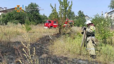 Згорілі вулики та отруєння чадним газом: рятувальники на Харківщині закликають не палити сухостій Згорілі вулики та отруєння чадним газом: рятувальники на Харківщині закликають не палити сухостій