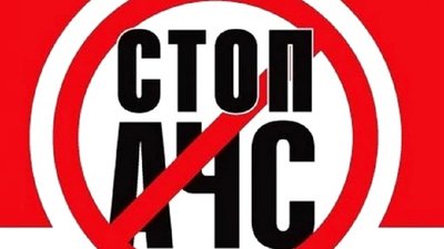 У прикарпатському селі виявили африканську чуму свиней. Господарство - на карантині