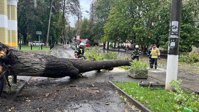 У Кам'янці-Подільському через пориви вітру впало дерево. У Кам'янці-Подільському через пориви вітру впало дерево.