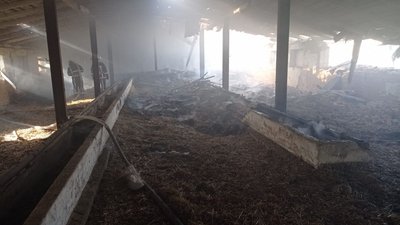 Військові РФ з мінометів та артилерії обстріляли село Мезенівка на Сумщині Військові РФ з мінометів та артилерії обстріляли село Мезенівка на Сумщині