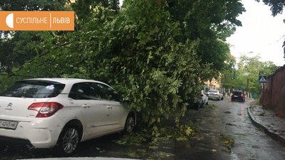 Повалені дерева та знеструмлені населені пункти: наслідки негоди на Львівщині Повалені дерева та знеструмлені населені пункти: наслідки негоди на Львівщині