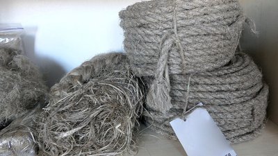 У Глухові нарощують обсяги перероблювання коноплі У Глухові нарощують обсяги перероблювання коноплі