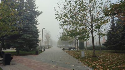 Туман у Черкасах прогнозують 8 та 9 листопада