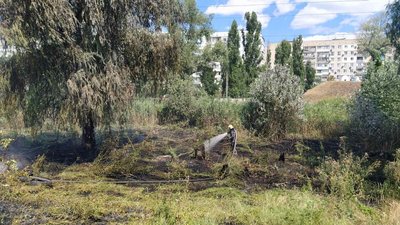 На Херсонщині за добу сталось 8 пожеж в екосистемах