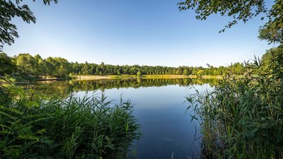 Озеро Бучанський міський парк