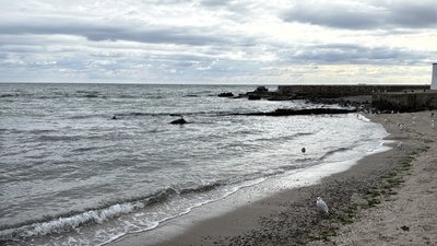 Цвітіння води, стоки та дрейфуючі міни: екологія Чорного моря очима експертів Цвітіння води, стоки та дрейфуючі міни: екологія Чорного моря очима експертів