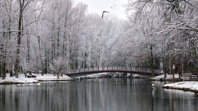 Погода, Івано-Франківщина, грудень
