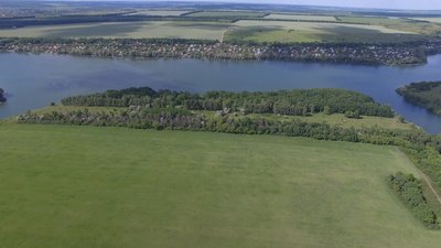 Місцеві жителі знайшли зміїне кубло на водосховищі під Харковом