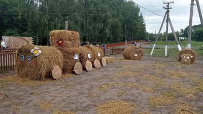 У селі Нова Слобода на Сумщині відбувся фестиваль "На гостини до горюнів" (ФОТО)