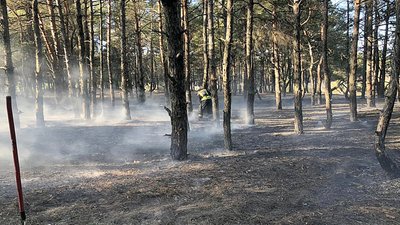 На Миколаївщині горів Балабанівський ліс На Миколаївщині горів Балабанівський ліс