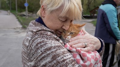 Їздять по різних районах міста і вакцинують котів та собак: як у Чернігові проводять щеплення тварин проти сказу Їздять по різних районах міста і вакцинують котів та собак: як у Чернігові проводять щеплення тварин проти сказу