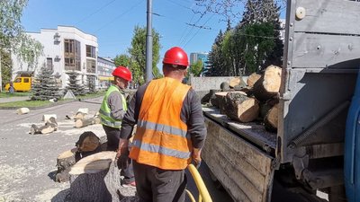 У центрі Луцька корчують дерева. Як це пояснюють комунальники У центрі Луцька корчують дерева. Як це пояснюють комунальники