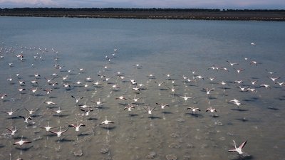 Албанія відкриває туристичний сезон за тиждень