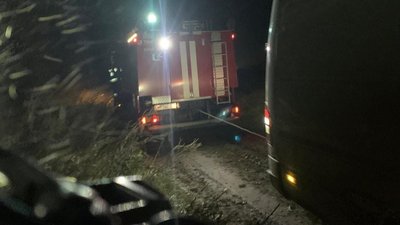 На Франківщині мікроавтобус з'їхав з дороги. В салоні були вагітна жінка й 2-річна дитина