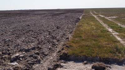 Долину курганів на Херсонщині захищатимуть у суді Долину курганів на Херсонщині захищатимуть у суді