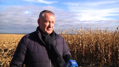 На Житомирщині зібрали 80% урожаю кукурудзи