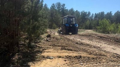 Нині територія, де були розкидані рештки тварин має такий вигляд