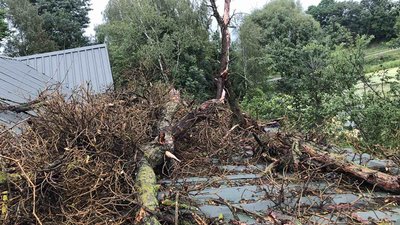 Дерево впало на дах будівлі. Хмельницький район. Фото: ДСНС області Дерево впало на дах будівлі. Хмельницький район. Фото: ДСНС області