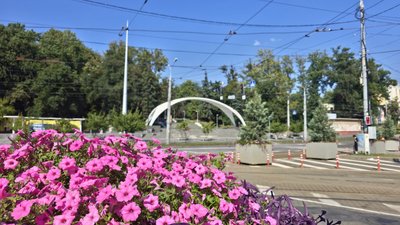 Квіти