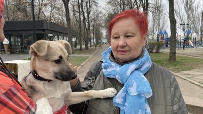 Виставка-прилаштування тварин із притулку в Чорнобаївці Виставка-прилаштування тварин із притулку в Чорнобаївці