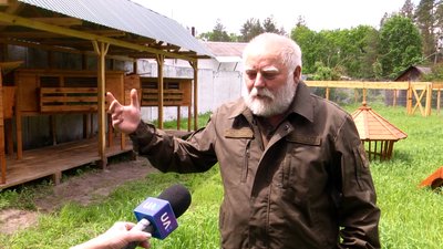 На Житомирщині намагаються збільшити популяцію зайця-русака На Житомирщині намагаються збільшити популяцію зайця-русака