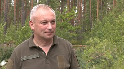 Буревій в лісі Рівне
