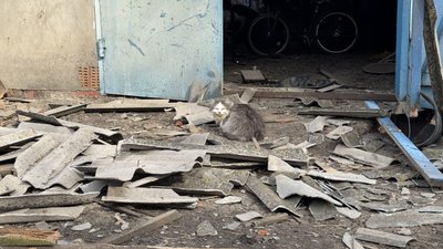 “Шахед” летить, тікайте”: російський БПЛА вдарив по Голубівці на Сумщині. Наслідки