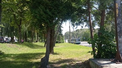 Обрив ліній, тролейбуси, маршрут, дорога, Тернопіль, Злуки