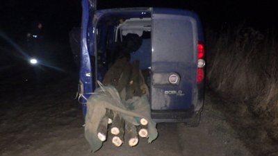 Зрубав дерева у "Дністровському каньйоні": затримали жителя Тернопільщини