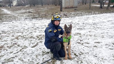 Кінологи Сумщини, які допомагали шукати людей під завалами багатоповерхівки, повернулися з Дніпра Кінологи Сумщини, які допомагали шукати людей під завалами багатоповерхівки, повернулися з Дніпра
