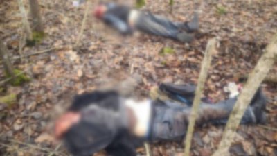 У Шосткинському районі на Сумщині внаслідок обстрілу загинуло двоє людей