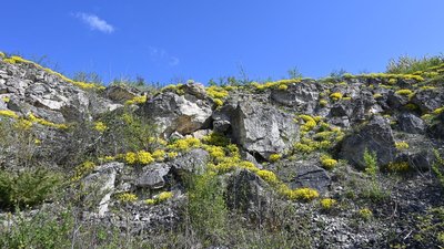 Гора на Тернопільщині що два тижні змінює кольори Гора на Тернопільщині що два тижні змінює кольори