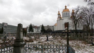 У Рівному на кладовищі Грабник зрізали вікові дерева У Рівному на кладовищі Грабник зрізали вікові дерева