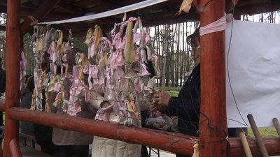 Перший масовий захід після деокупації. У Святогірську до Міжнародного дня землі провели весняну толоку