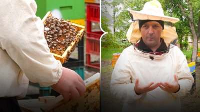 Пасічник з Буковини Микола Гуцкало