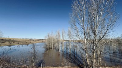 Природа Кіровоградщини. Село Златопілля
