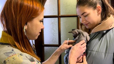Миколаївська лікарка-ветеринар допомагає тваринам переселенців