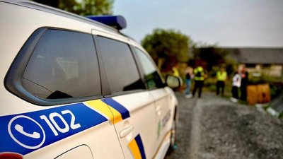 домашнє насильство, поліція, фізична сила, кайданки, виклик 102