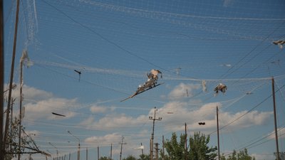 Наслідки авіаудару по Сумах, 11 серпня 2026 року